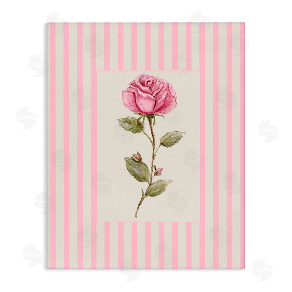 Lisa Wehmeyer Pink Stripe Rose Stretched Canvas Wall Art Print