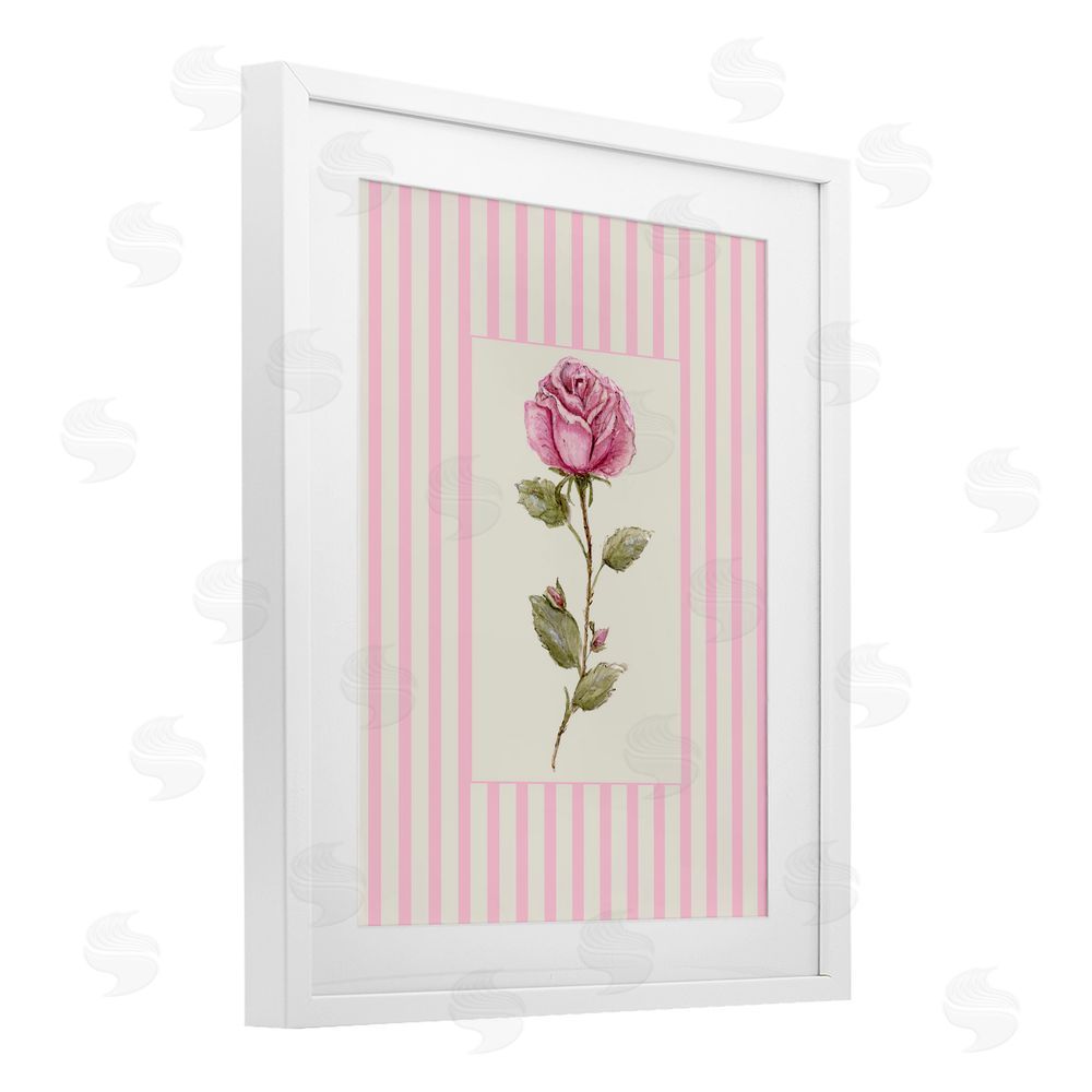 Lisa Wehmeyer Pink Stripe Rose White Framed Print Under Glass Wall Art