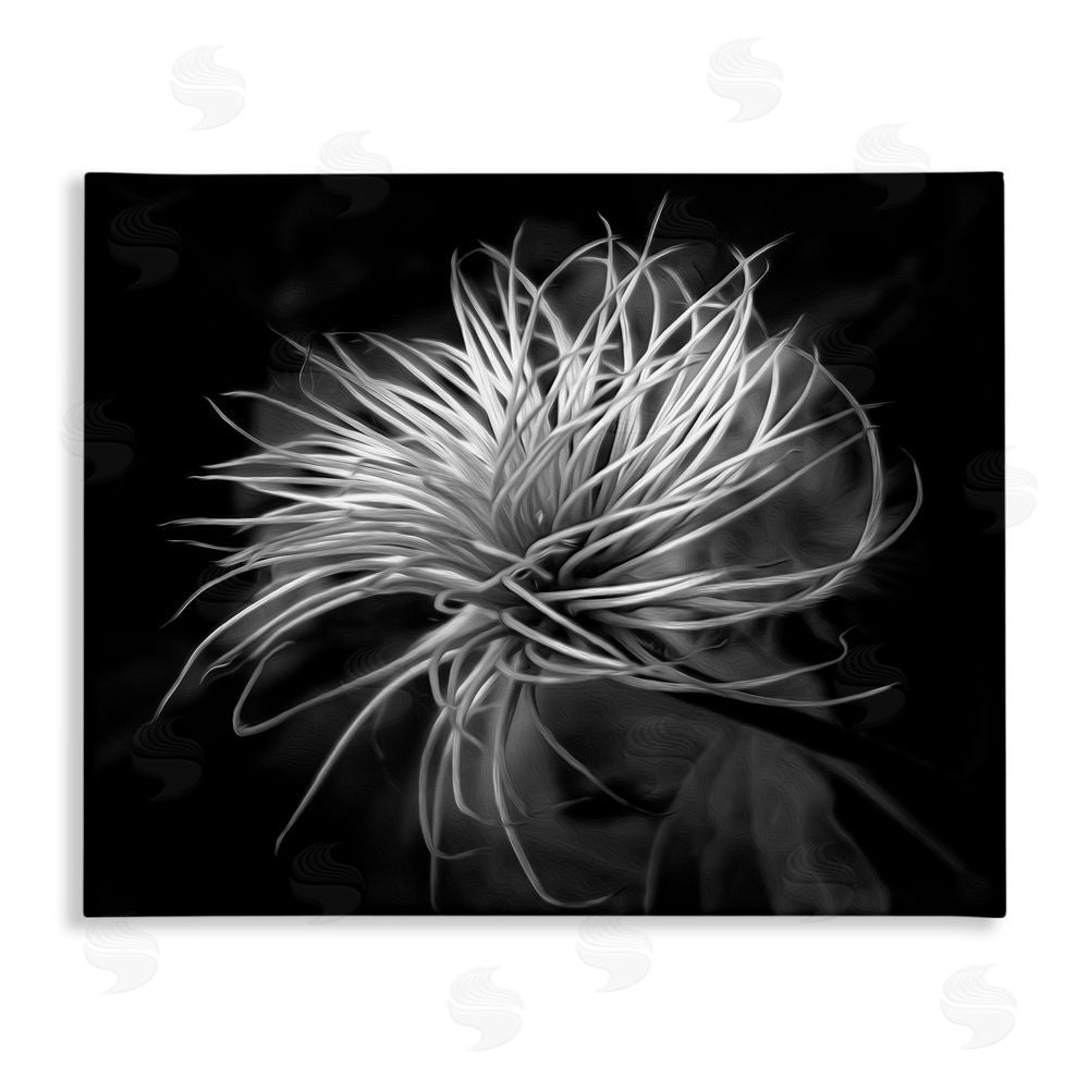 Phillip Flowers Twisting Botanical Leaves Contrast Stretched Canvas Wall Art Print