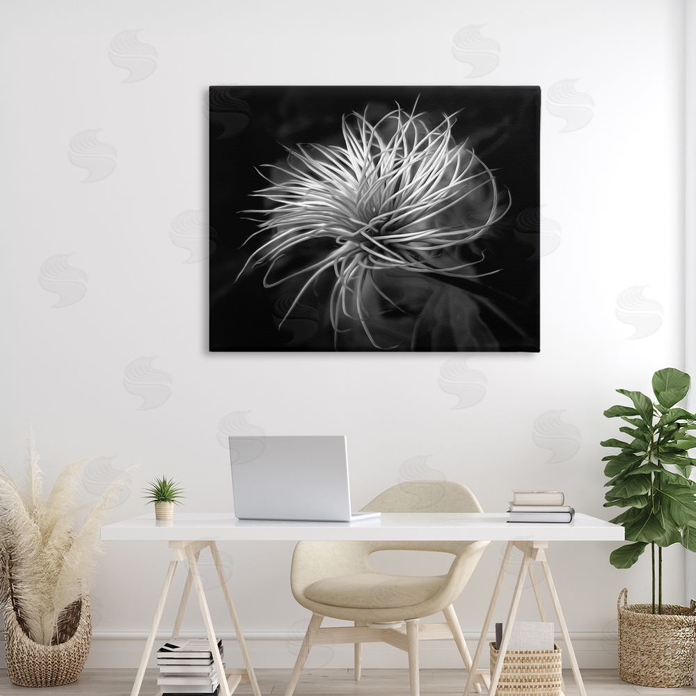 Phillip Flowers Twisting Botanical Leaves Contrast Stretched Canvas Wall Art Print in Room