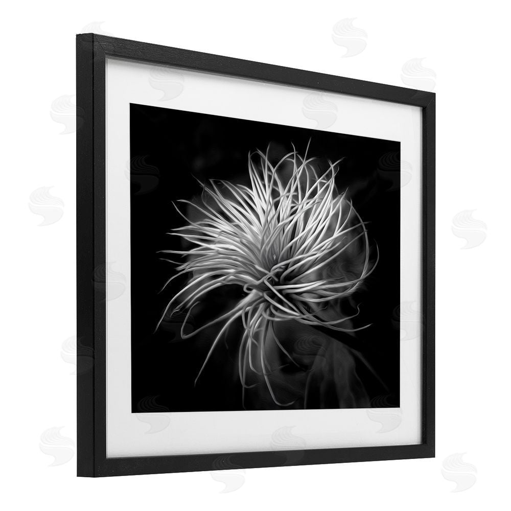 Phillip Flowers Twisting Botanical Leaves Contrast Black Framed Print Under Glass Wall Art