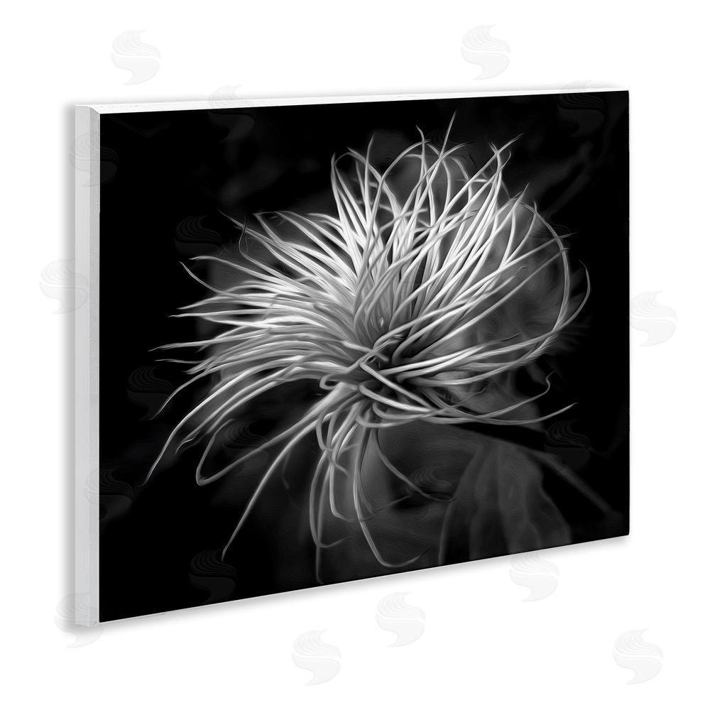 Phillip Flowers Twisting Botanical Leaves Contrast Wooden Wall Plaque Art Print