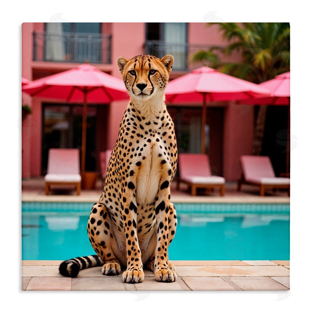 Lettered and Lined Cheetah Posed at Poolside Stretched Canvas Wall Art Print