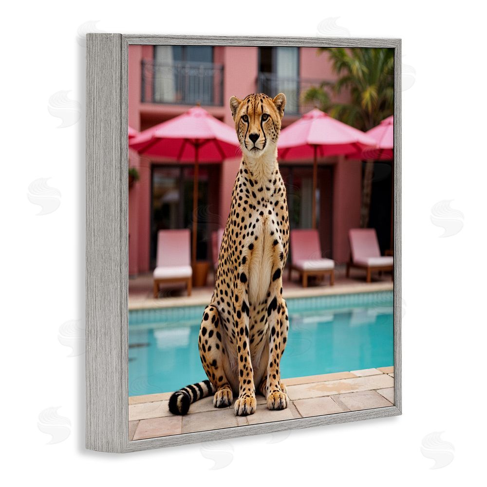 Lettered and Lined Cheetah Posed at Poolside Gray Framed Giclee Print Wall Art