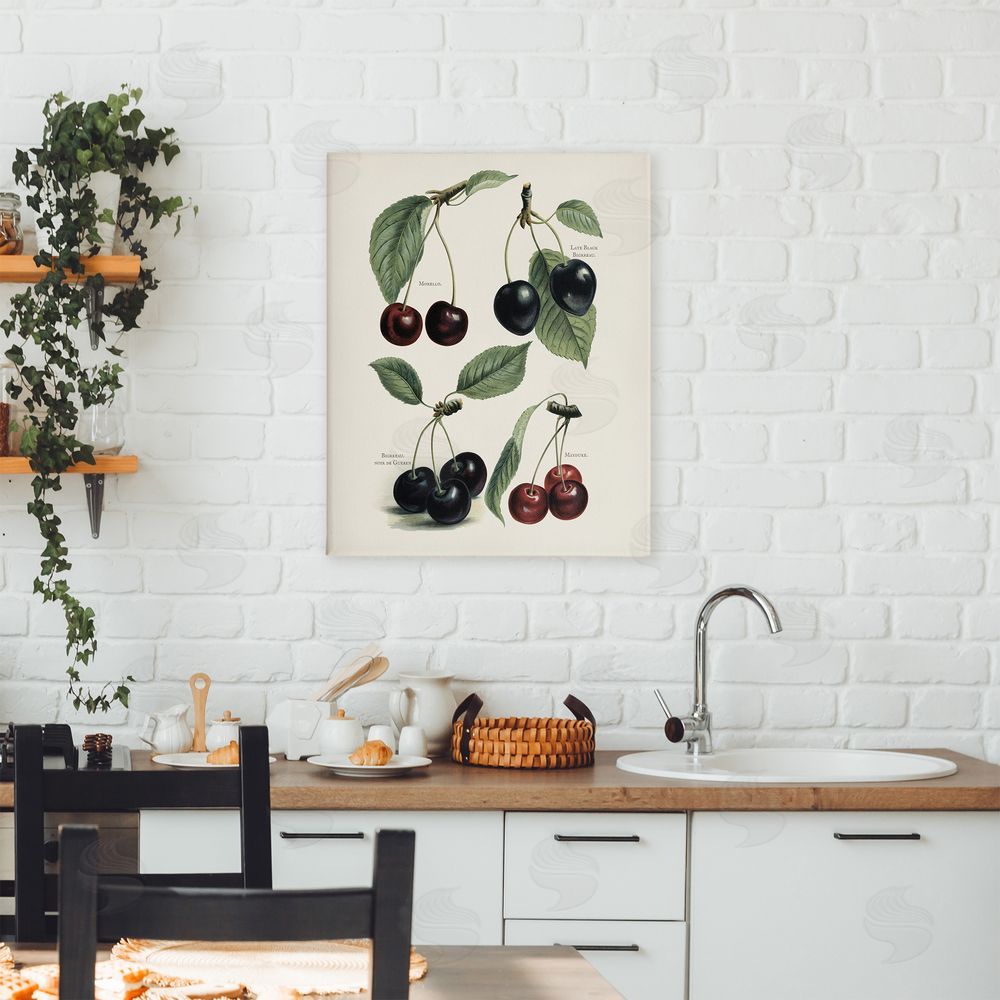 Lettered and Lined Natural Detailed Cherry Studies Stretched Canvas Wall Art Print in Room