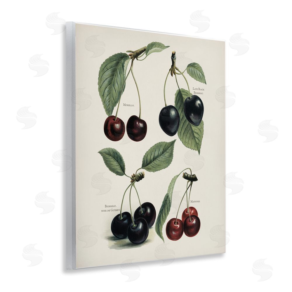 Lettered and Lined Natural Detailed Cherry Studies Wooden Wall Plaque Art Print