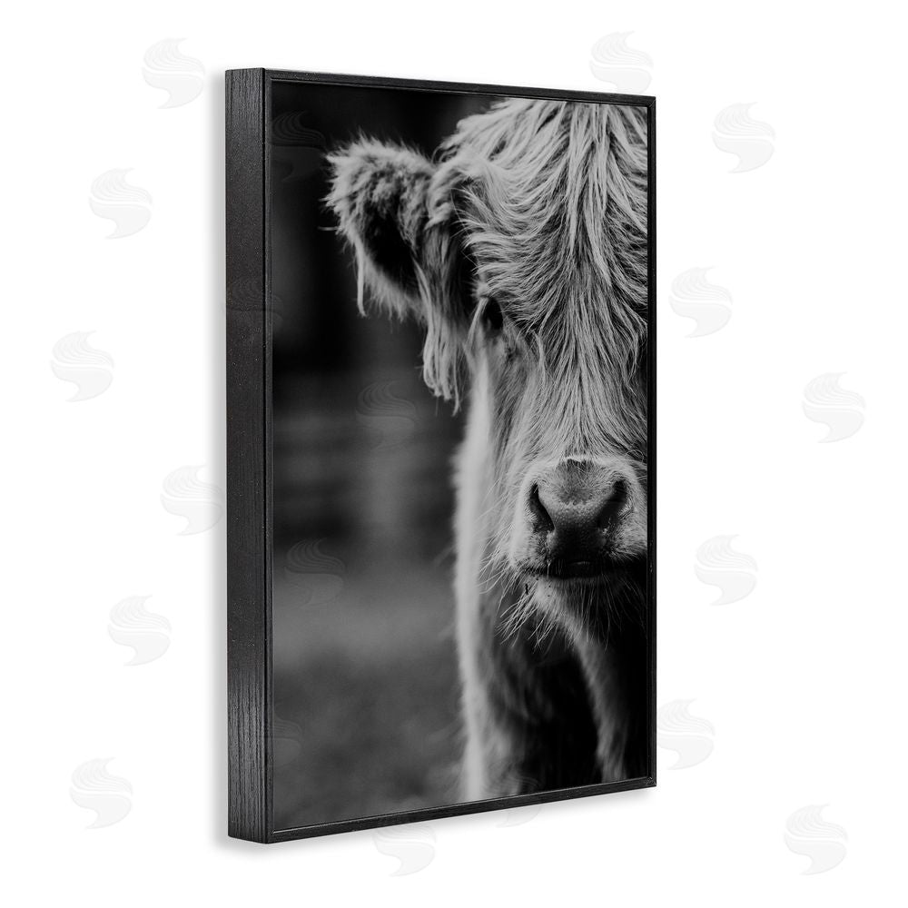 Amy Carroll Baby Cow Face Black Framed Giclee Print Wall Art