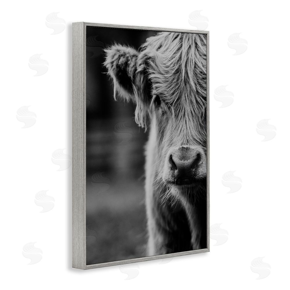 Amy Carroll Baby Cow Face Gray Framed Giclee Print Wall Art