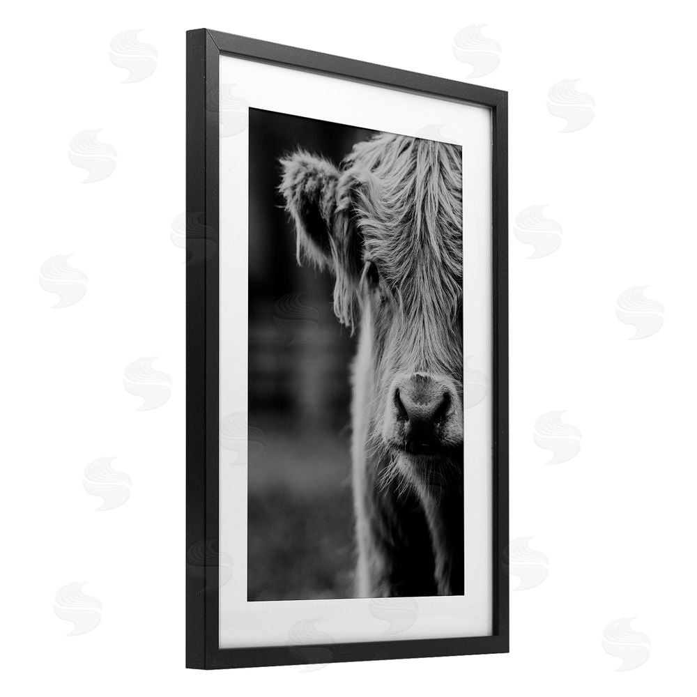 Amy Carroll Baby Cow Face Black Framed Print Under Glass Wall Art