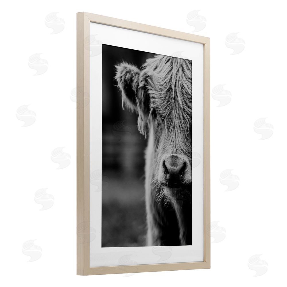 Amy Carroll Baby Cow Face Brown Framed Print Under Glass Wall Art