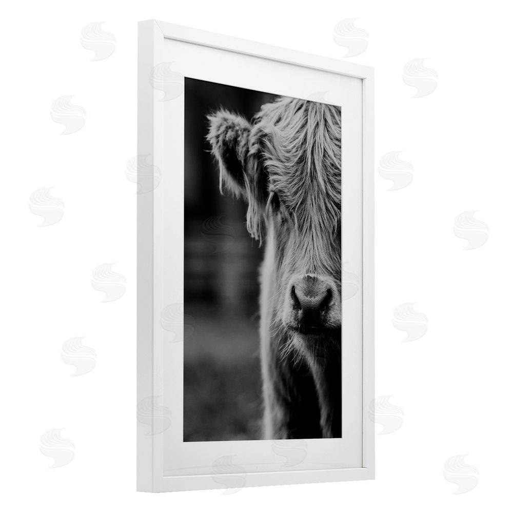 Amy Carroll Baby Cow Face White Framed Print Under Glass Wall Art
