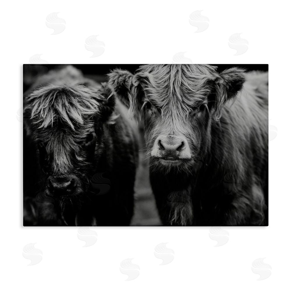 Amy Carroll Cow Faces on Farm Stretched Canvas Wall Art Print