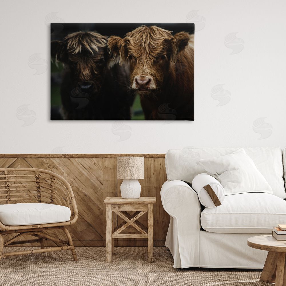 Amy Carroll Cow Faces Highland Pair Stretched Canvas Wall Art Print in Room