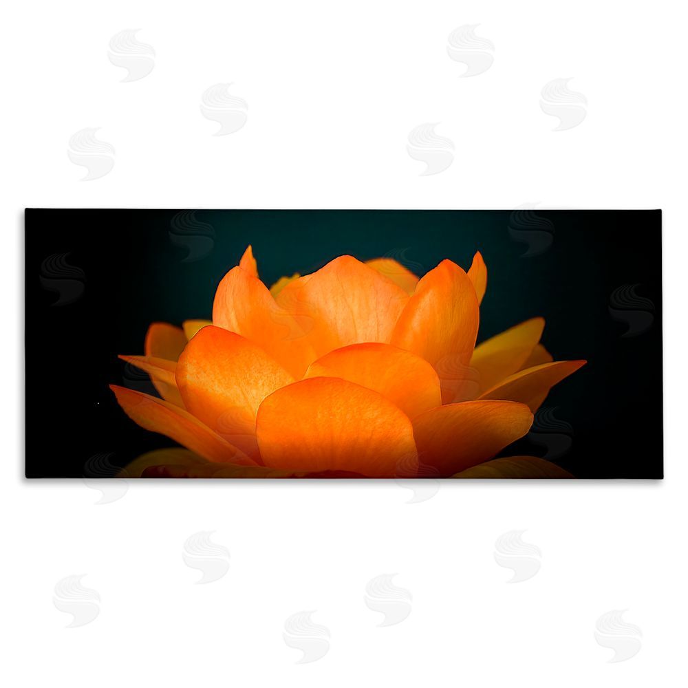 Phillip Flowers Glowing Orange Lotus Stretched Canvas Wall Art Print