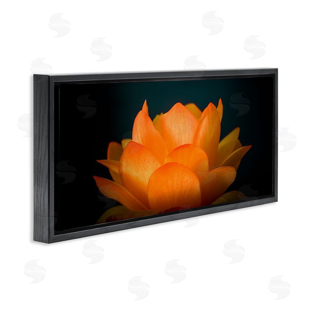 Phillip Flowers Glowing Orange Lotus Black Floating Frame Canvas Wall Art Print