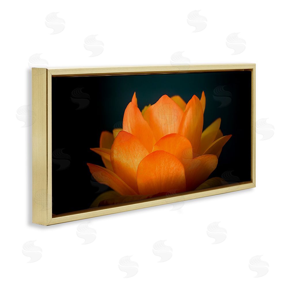 Phillip Flowers Glowing Orange Lotus Gold Floating Frame Canvas Wall Art Print