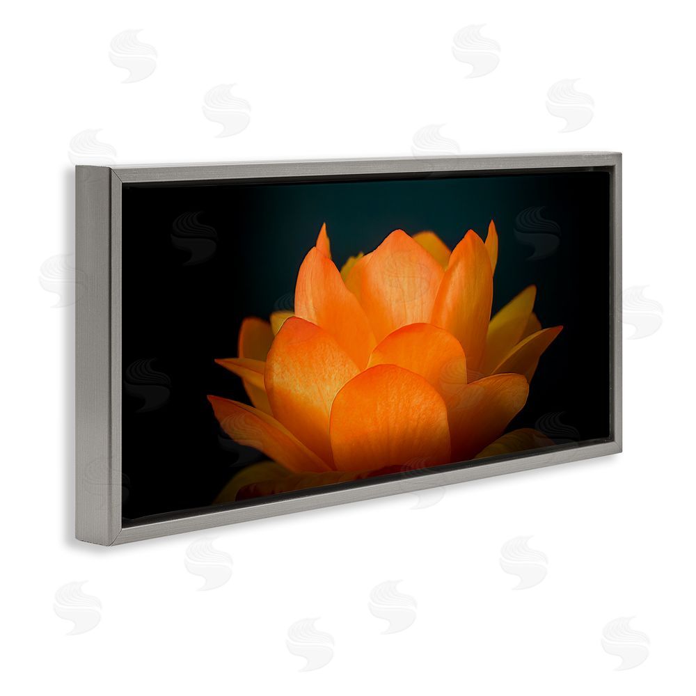 Phillip Flowers Glowing Orange Lotus Gray Floating Frame Canvas Wall Art Print
