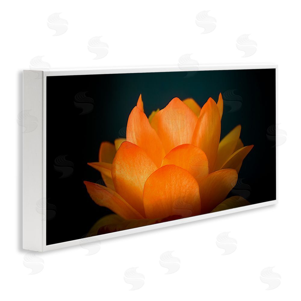 Phillip Flowers Glowing Orange Lotus White Framed Giclee Print Wall Art