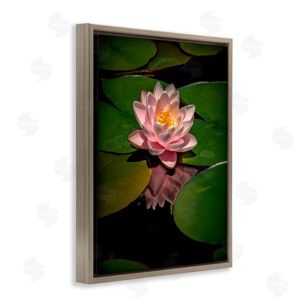Phillip Flowers Pink Lotus Among Lily Pads Brown Floating Frame Canvas Wall Art Print
