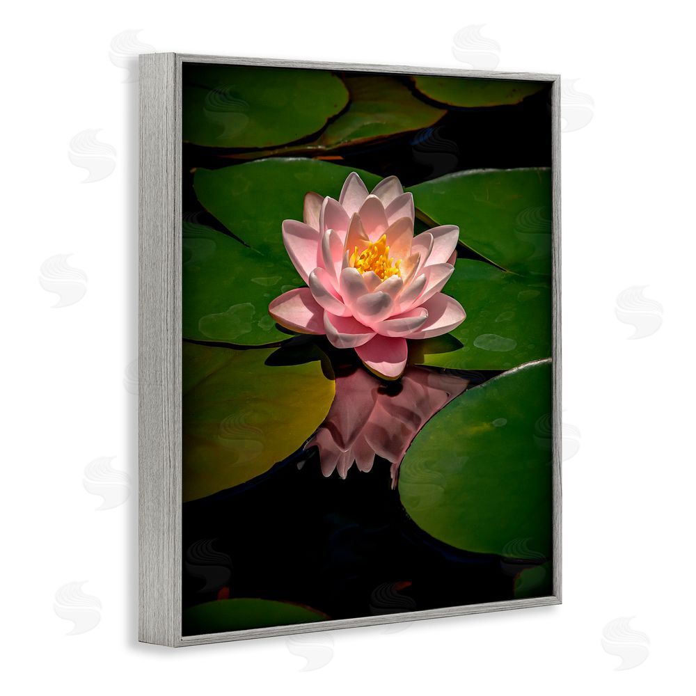 Phillip Flowers Pink Lotus Among Lily Pads Gray Framed Giclee Print Wall Art