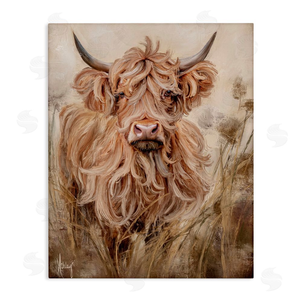 Ashley Bradley Curly Haired Highland Cattle Stretched Canvas Wall Art Print
