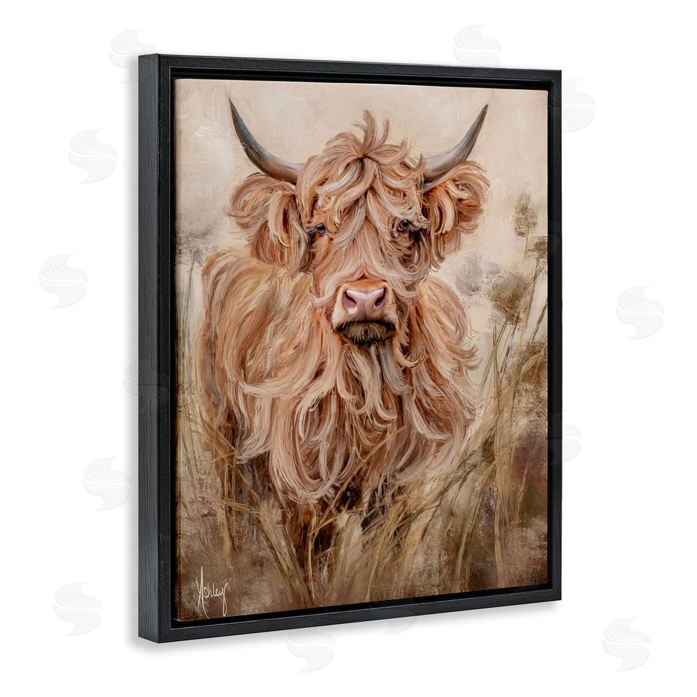 Ashley Bradley Curly Haired Highland Cattle Black Floating Frame Canvas Wall Art Print