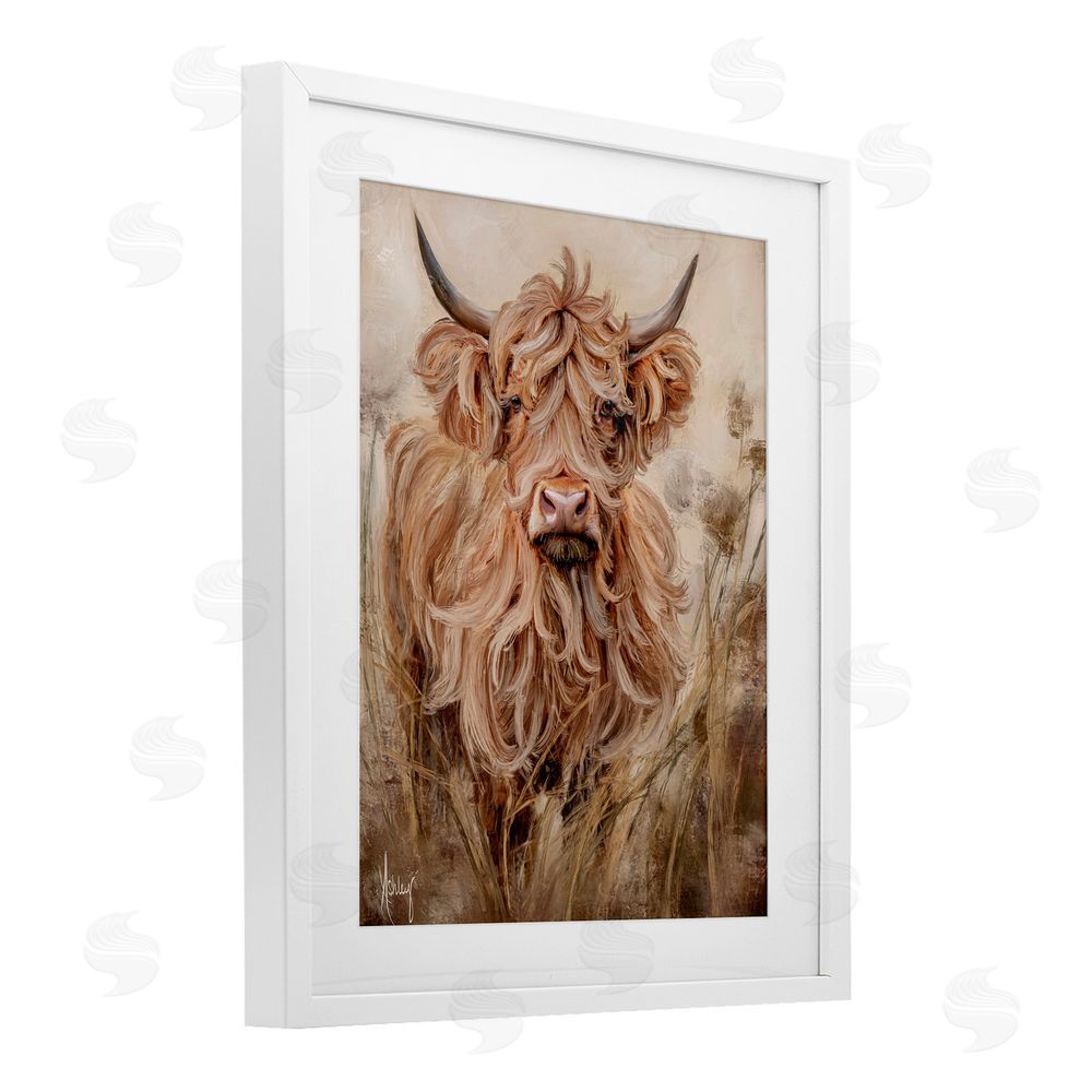 Ashley Bradley Curly Haired Highland Cattle White Framed Print Under Glass Wall Art