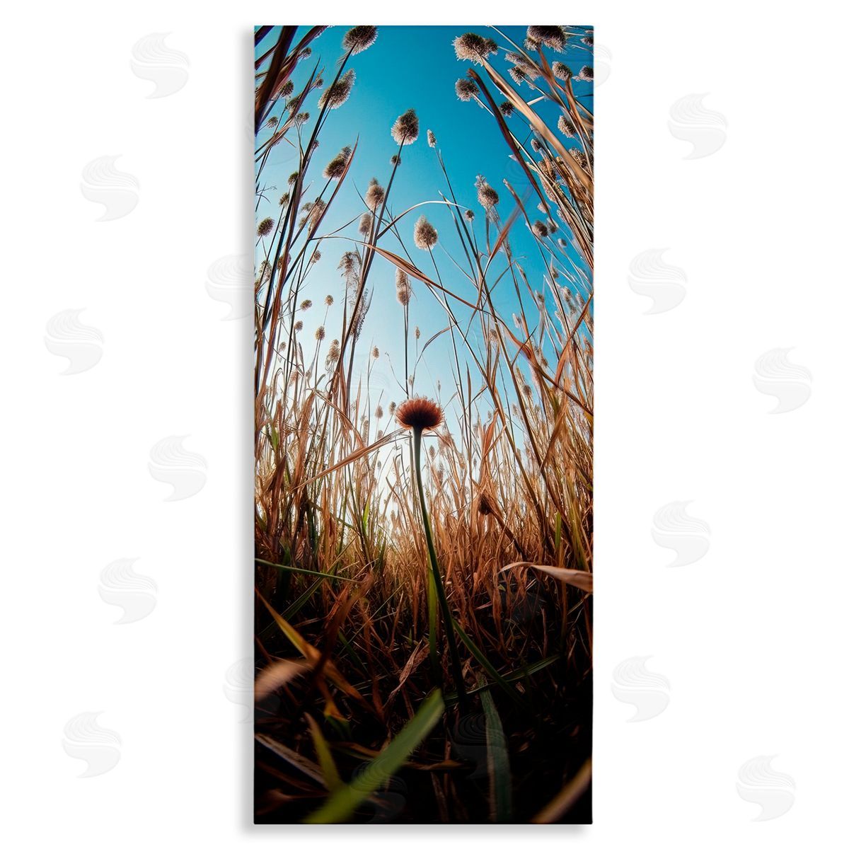 Decent Exposures Daydream Botanical Meadow Stretched Canvas Wall Art Print