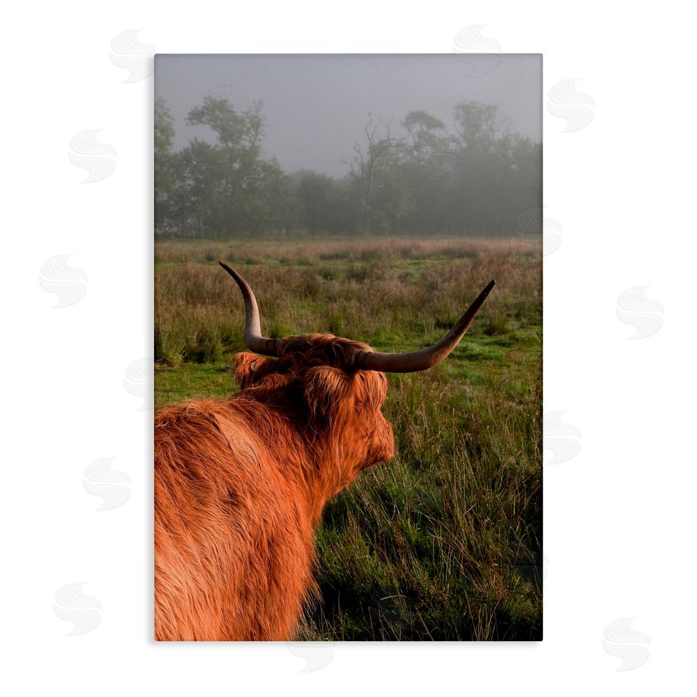 Jenny Rainbow Fine Art Highland Cow Gazing Out Stretched Canvas Wall Art Print