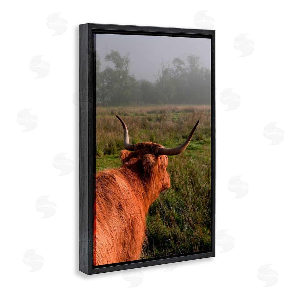 Jenny Rainbow Fine Art Highland Cow Gazing Out Black Floating Frame Canvas Wall Art Print