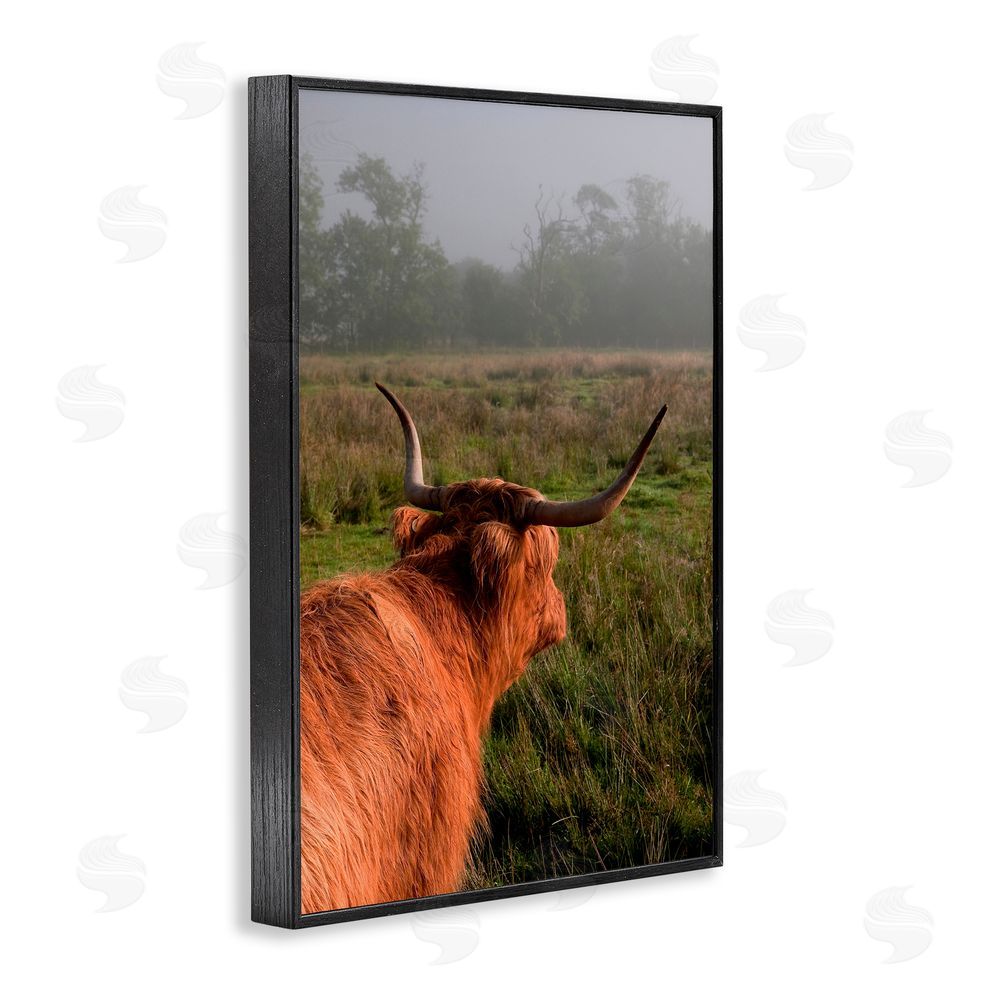 Jenny Rainbow Fine Art Highland Cow Gazing Out Black Framed Giclee Print Wall Art