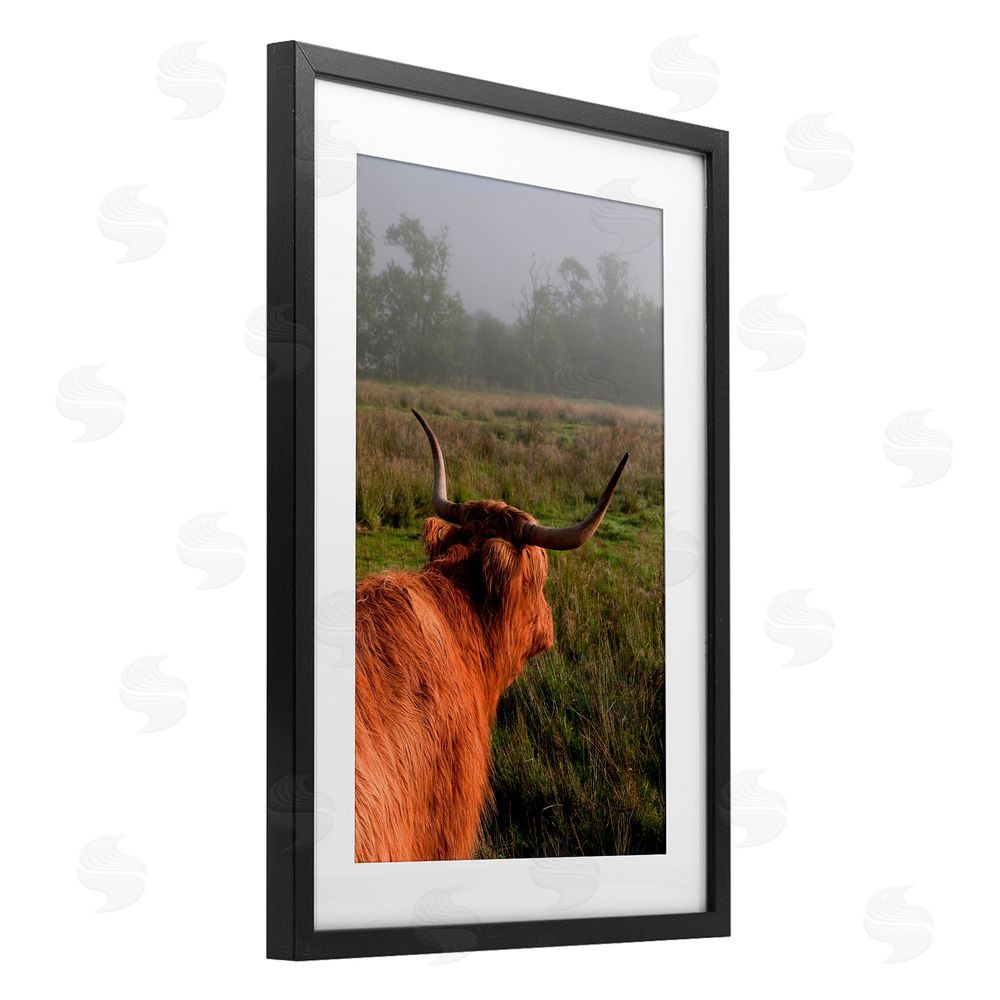 Jenny Rainbow Fine Art Highland Cow Gazing Out Black Framed Print Under Glass Wall Art