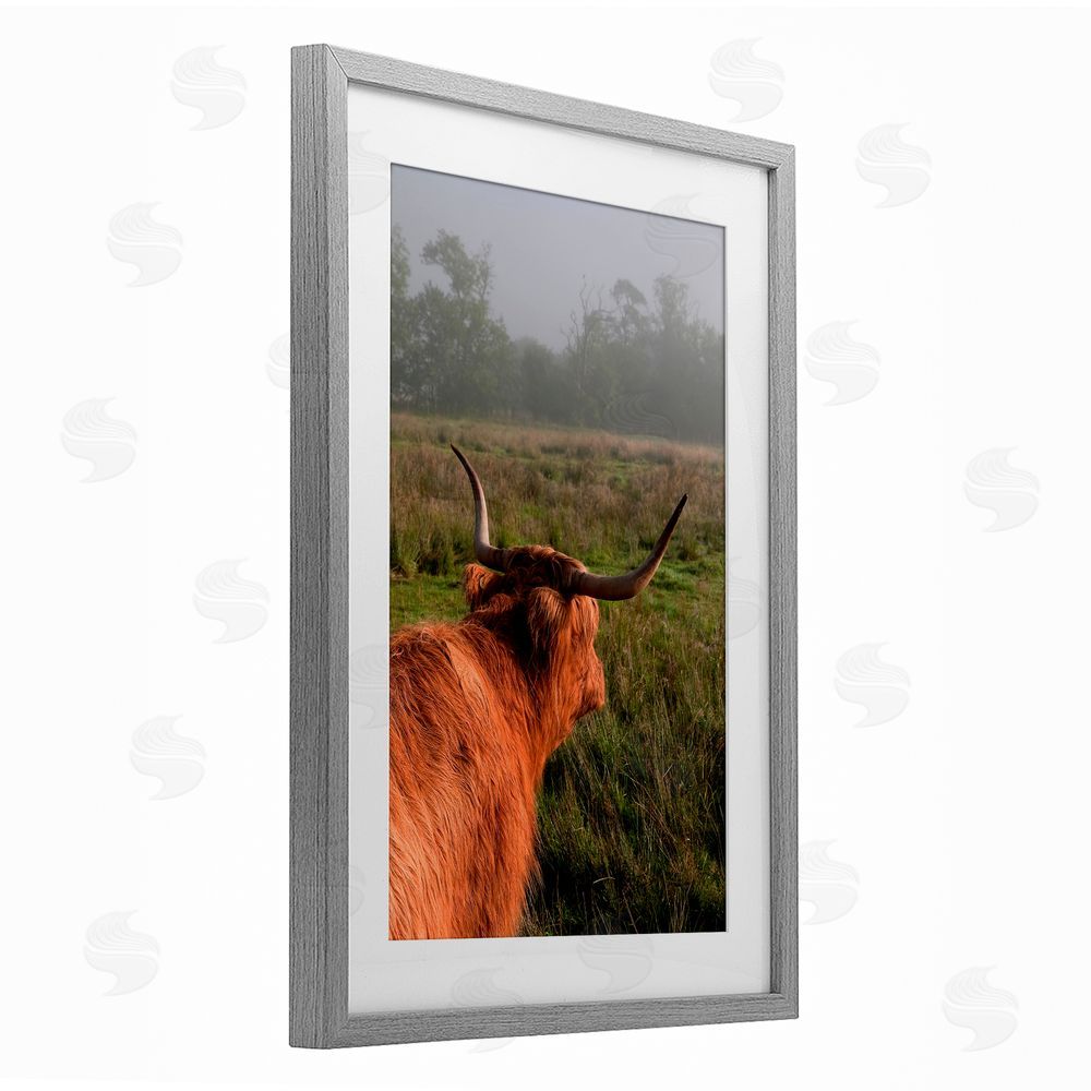 Jenny Rainbow Fine Art Highland Cow Gazing Out Gray Framed Print Under Glass Wall Art