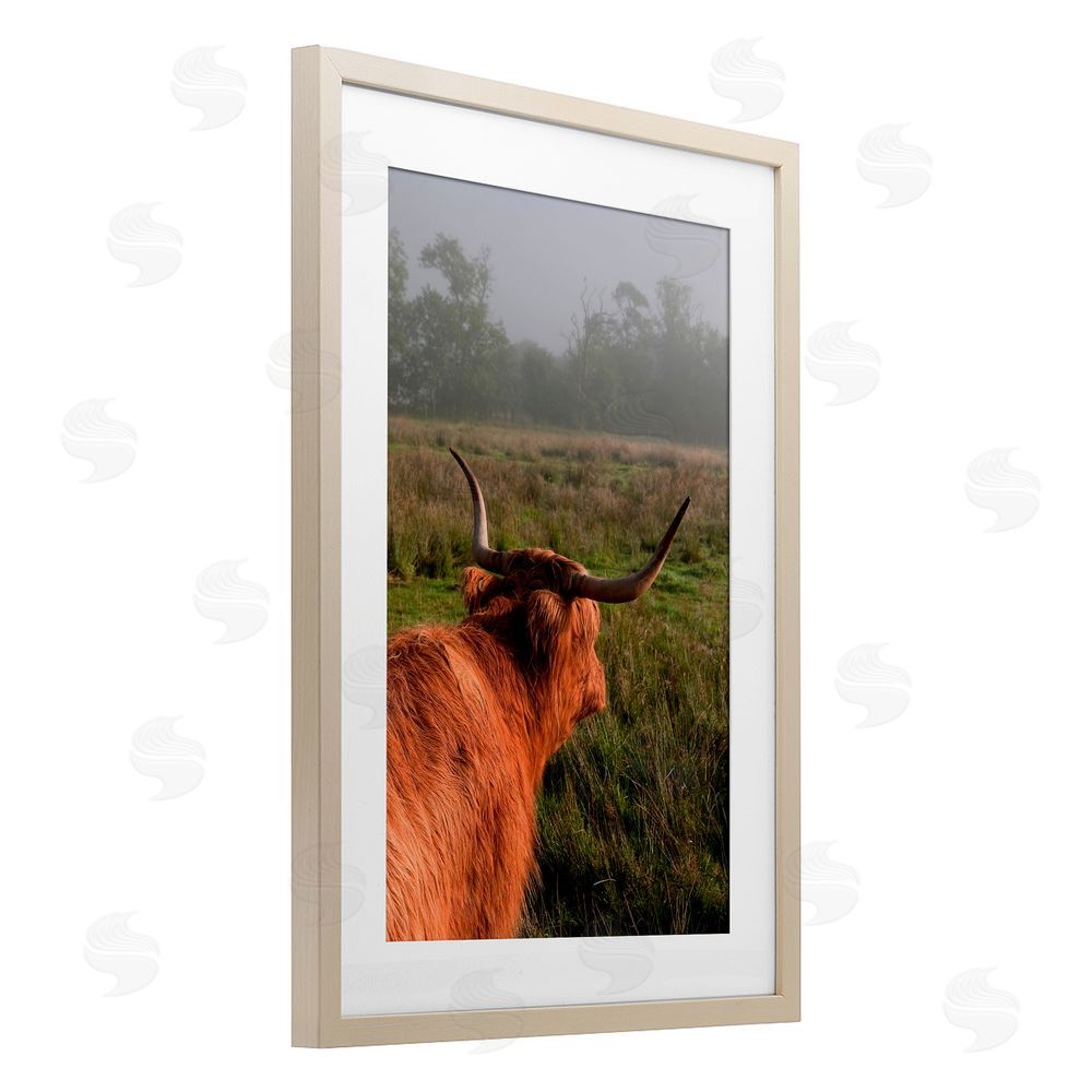 Jenny Rainbow Fine Art Highland Cow Gazing Out Brown Framed Print Under Glass Wall Art
