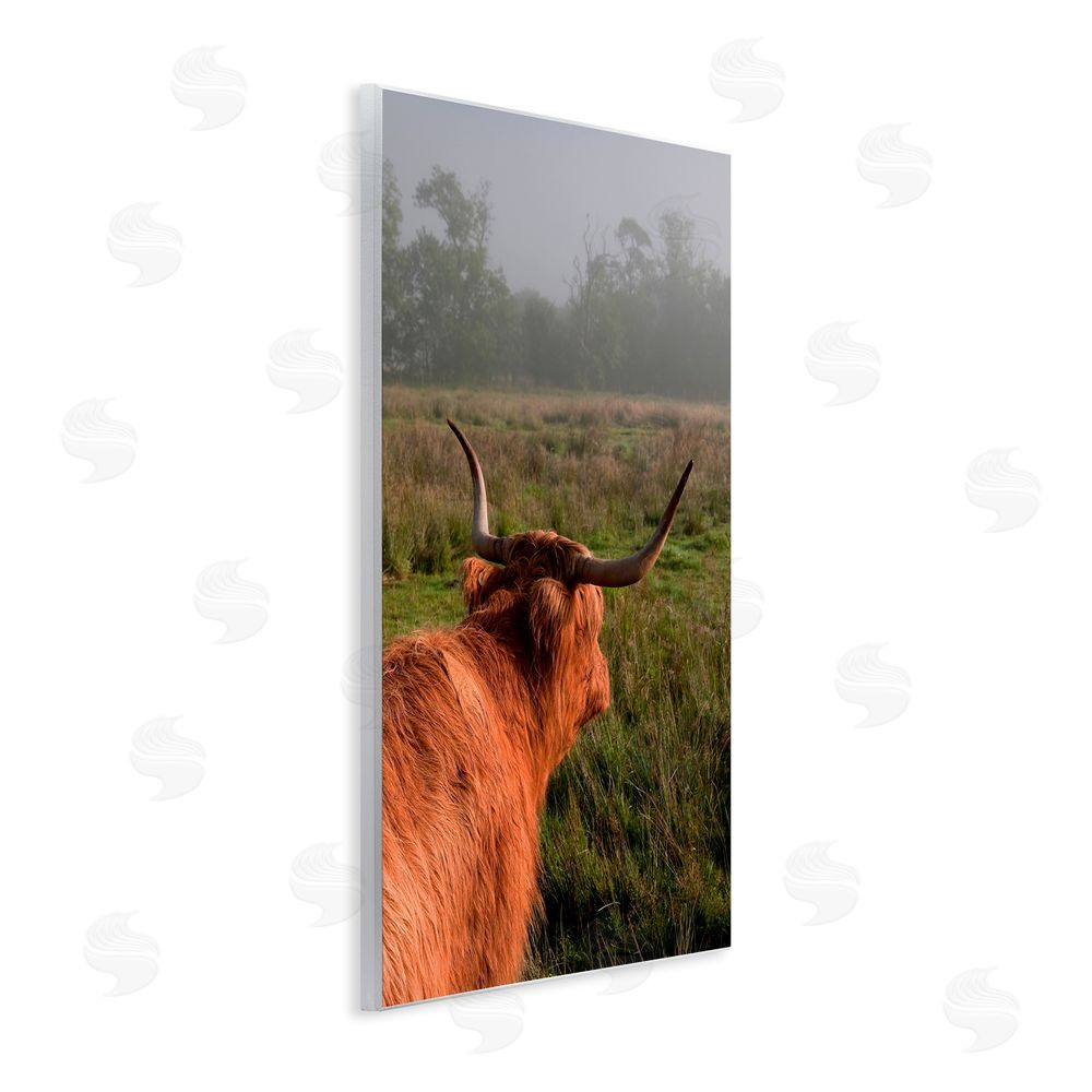 Jenny Rainbow Fine Art Highland Cow Gazing Out Wooden Wall Plaque Art Print