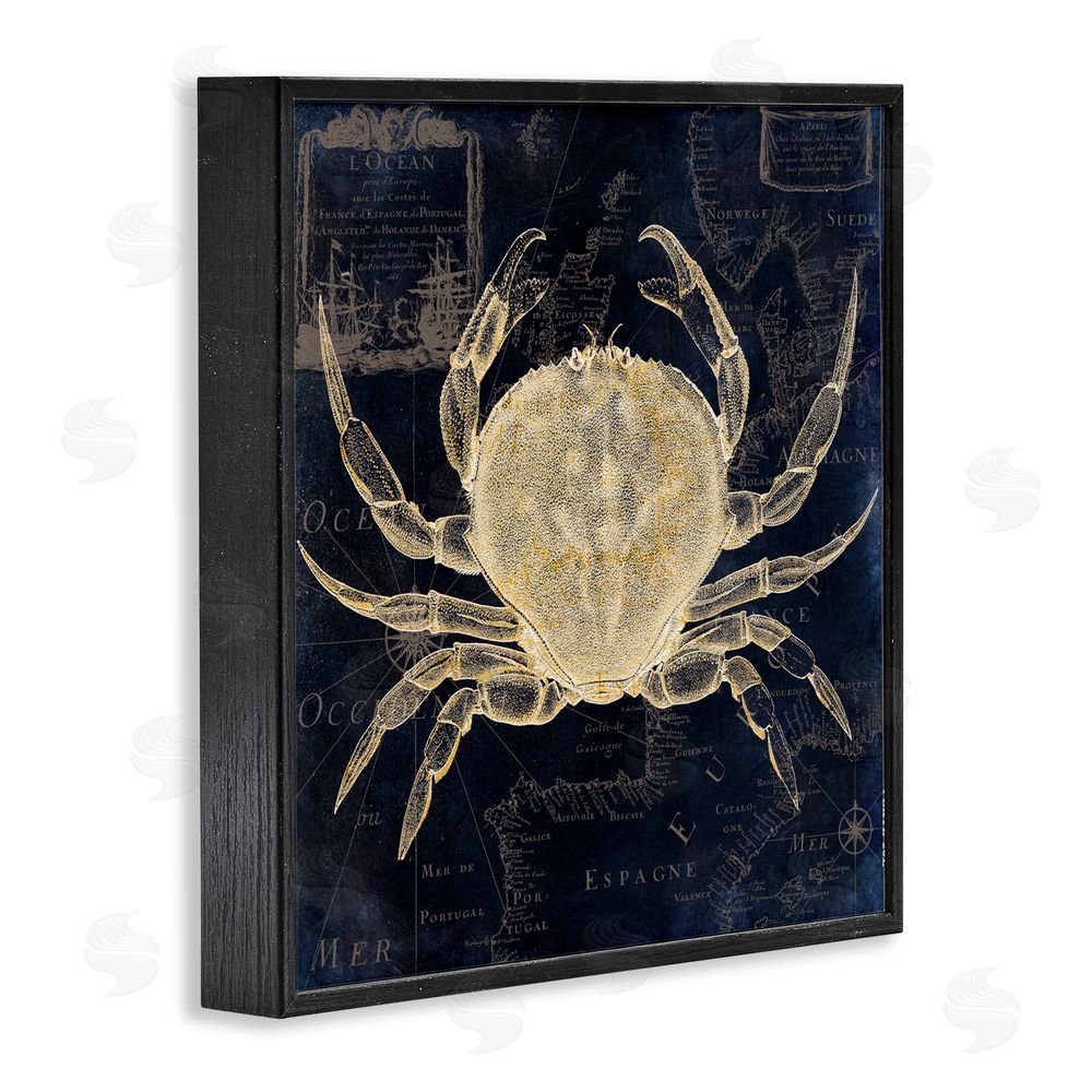 Sasha Crab Contour over Map Black Framed Giclee Print Wall Art