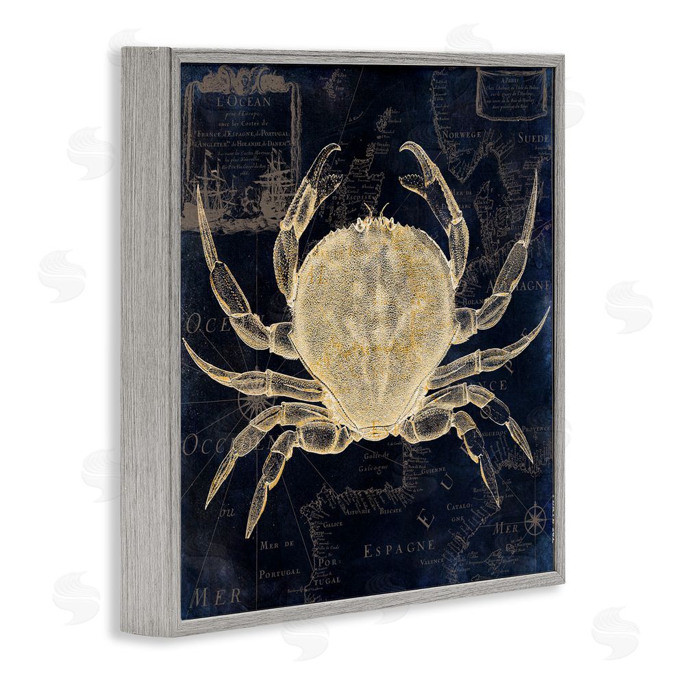 Sasha Crab Contour over Map Gray Framed Giclee Print Wall Art