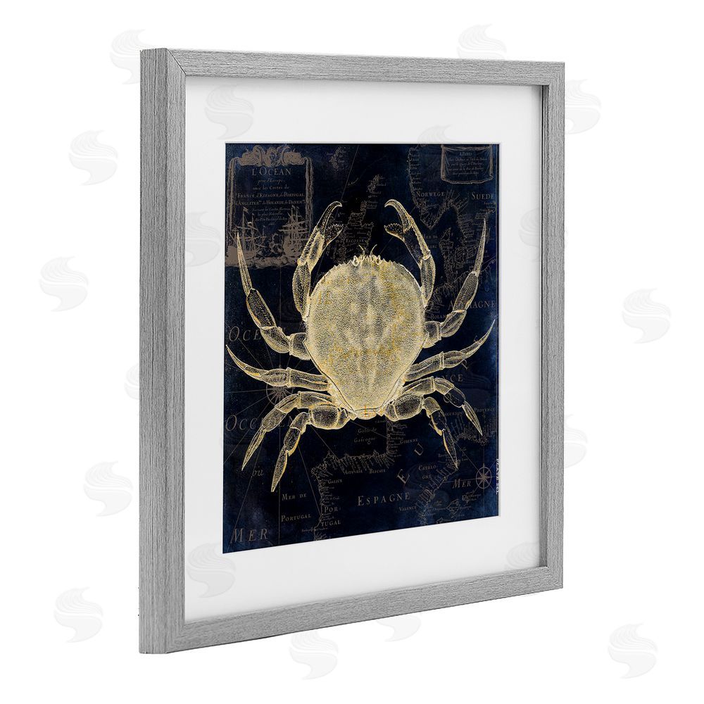 Sasha Crab Contour over Map Gray Framed Print Under Glass Wall Art