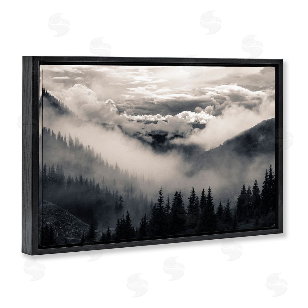 Decent Exposures Billowing Fog Atmosphere Black Floating Frame Canvas Wall Art Print