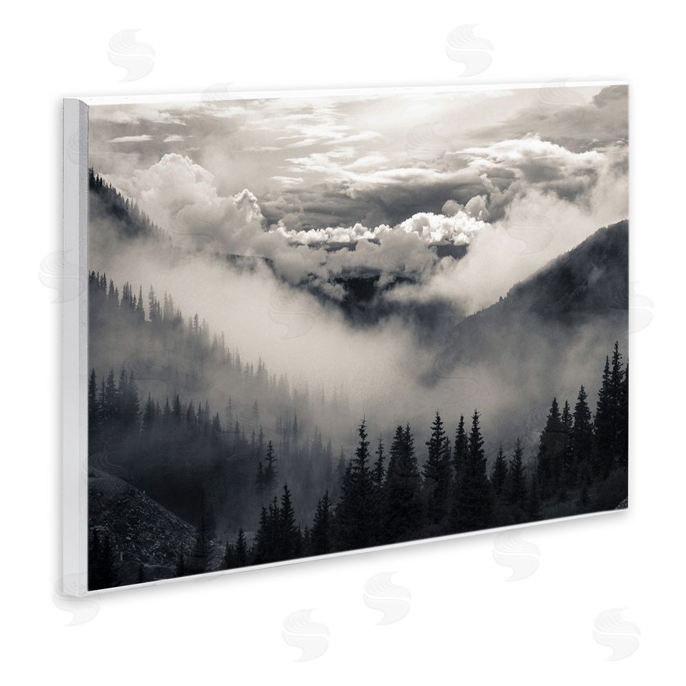 Decent Exposures Billowing Fog Atmosphere Wooden Wall Plaque Art Print