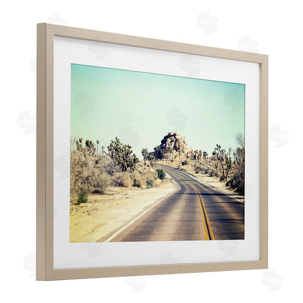 Joseph S Giacalone Road Trip Joshua Tree Park Brown Framed Print Under Glass Wall Art