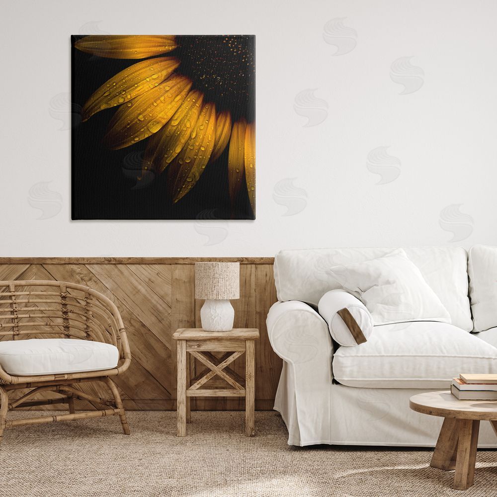 Brian Carson Photography Sunflower Detail with Droplets Stretched Canvas Wall Art Print in Room