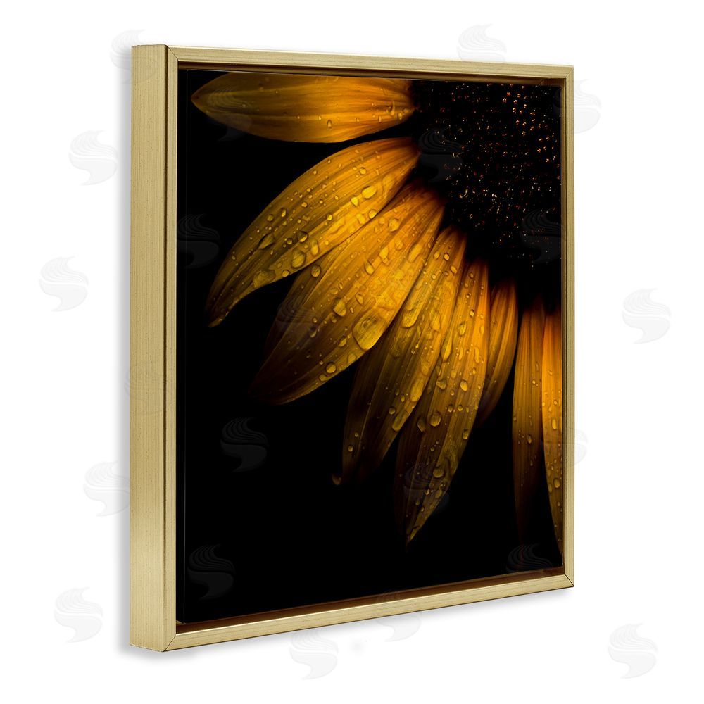 Brian Carson Photography Sunflower Detail with Droplets Gold Floating Frame Canvas Wall Art Print