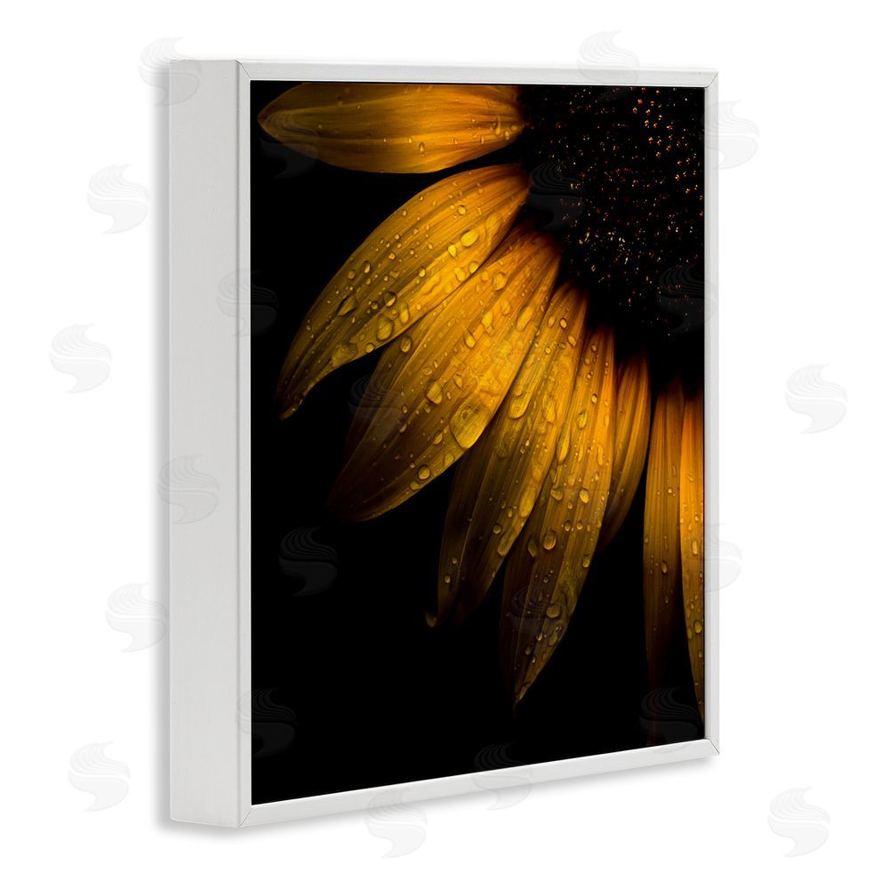 Brian Carson Photography Sunflower Detail with Droplets White Framed Giclee Print Wall Art
