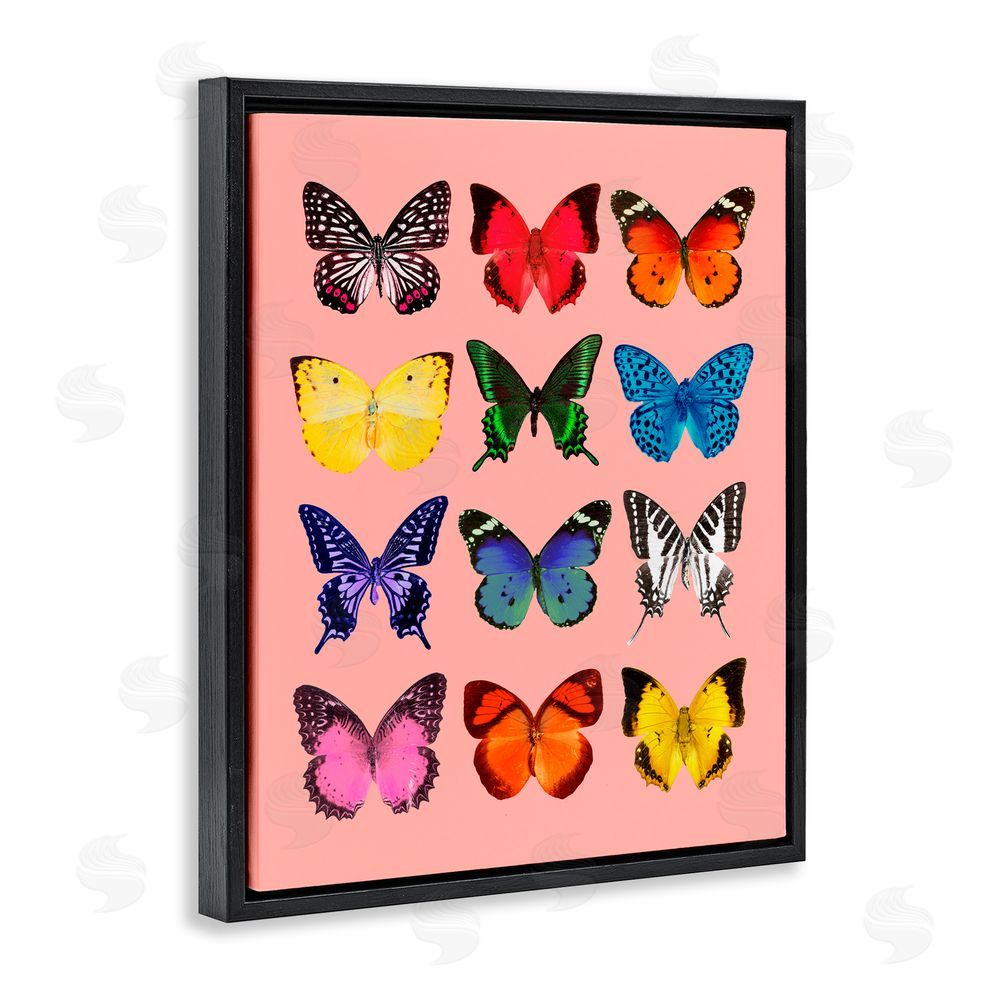 LISH Creative Butterfly Species on Pink Black Floating Frame Canvas Wall Art Print