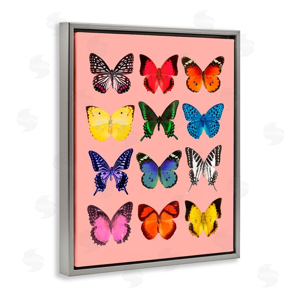 LISH Creative Butterfly Species on Pink Gray Floating Frame Canvas Wall Art Print