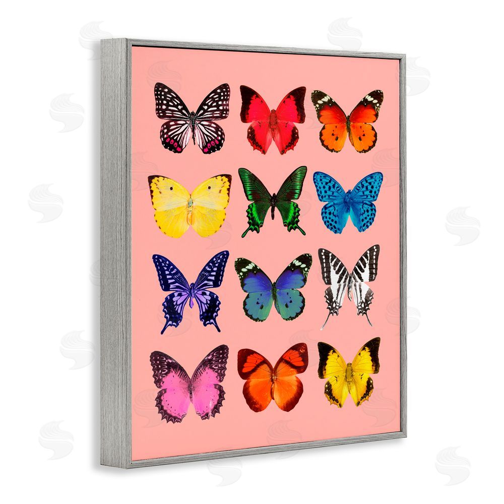 LISH Creative Butterfly Species on Pink Gray Framed Giclee Print Wall Art