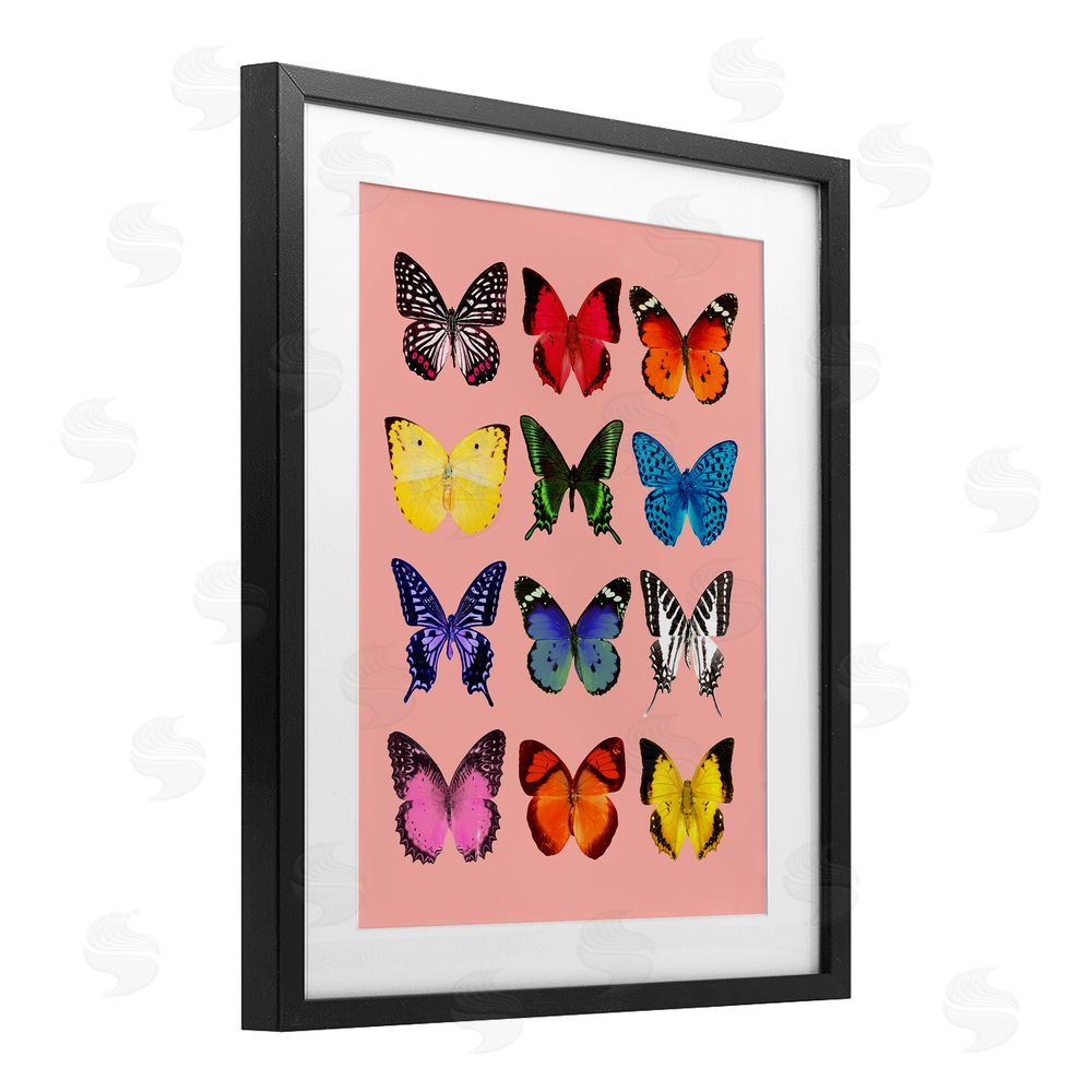 LISH Creative Butterfly Species on Pink Black Framed Print Under Glass Wall Art