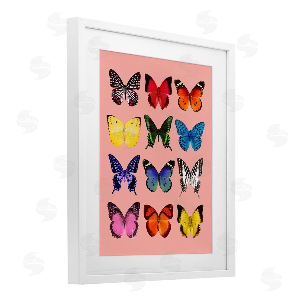 LISH Creative Butterfly Species on Pink White Framed Print Under Glass Wall Art