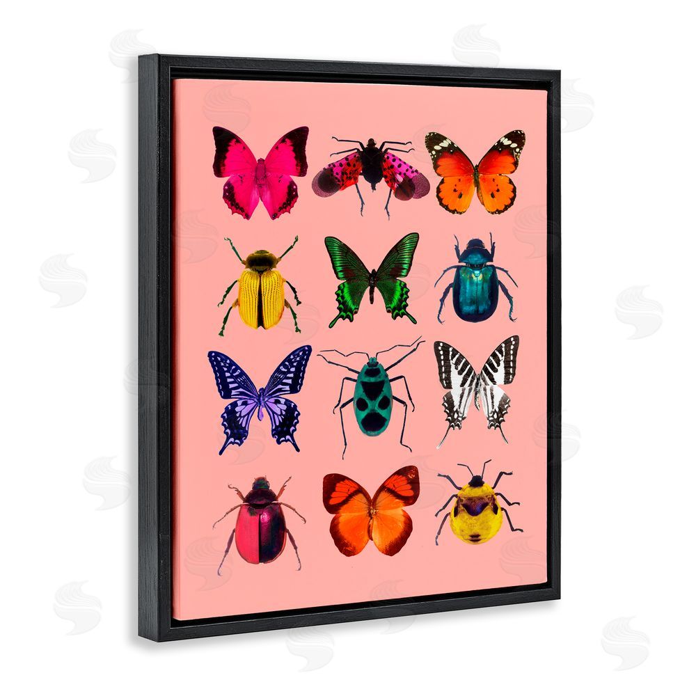 LISH Creative Colorful Bug Species on Pink Black Floating Frame Canvas Wall Art Print